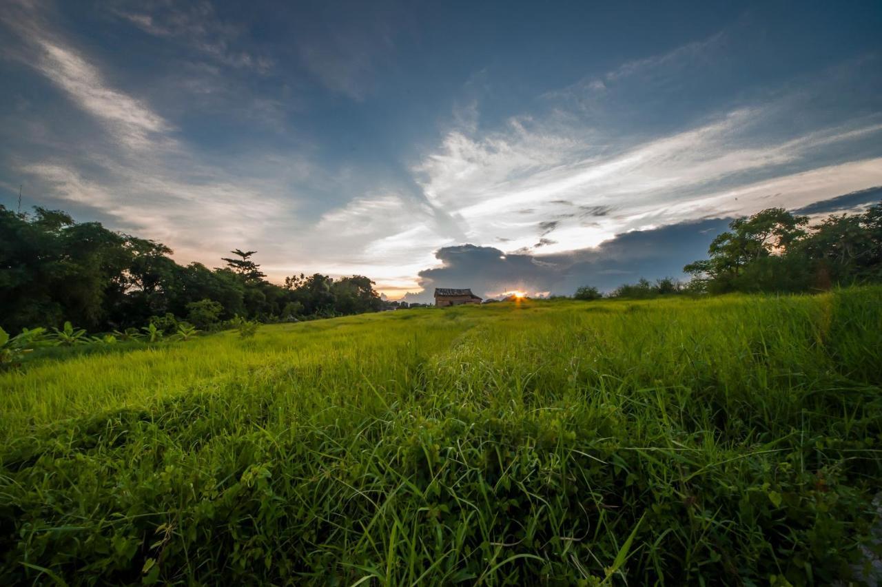 The Lebak Canggu Eksteriør bilde