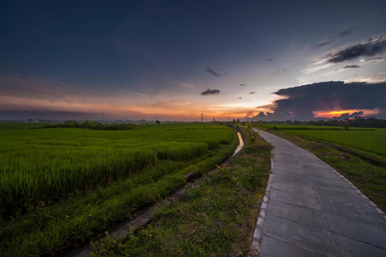 The Lebak Canggu Eksteriør bilde