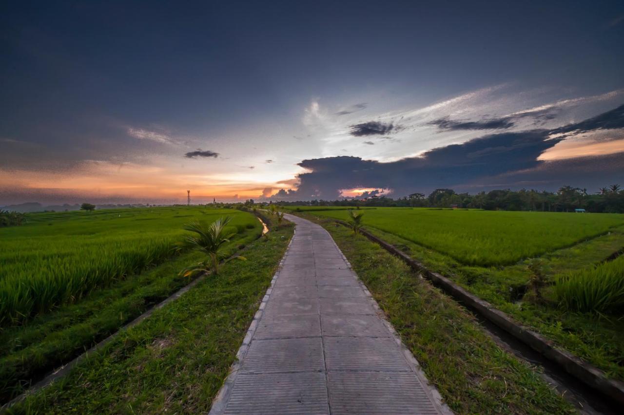 The Lebak Canggu Eksteriør bilde